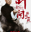 Ip Man: The Final Fight (2013)