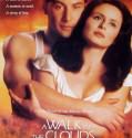 A Walk in the Clouds (1995)