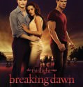 Twilight Saga Breaking Dawn Part 1  (2011)
