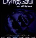 The Dying Gaul (2005)