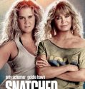 Snatched (2017)