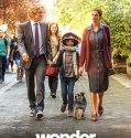 Wonder (2017)