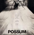 POSSUM (2018)