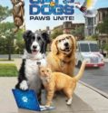 CATS AND DOGS 3 PAWS UNITE (2020)
